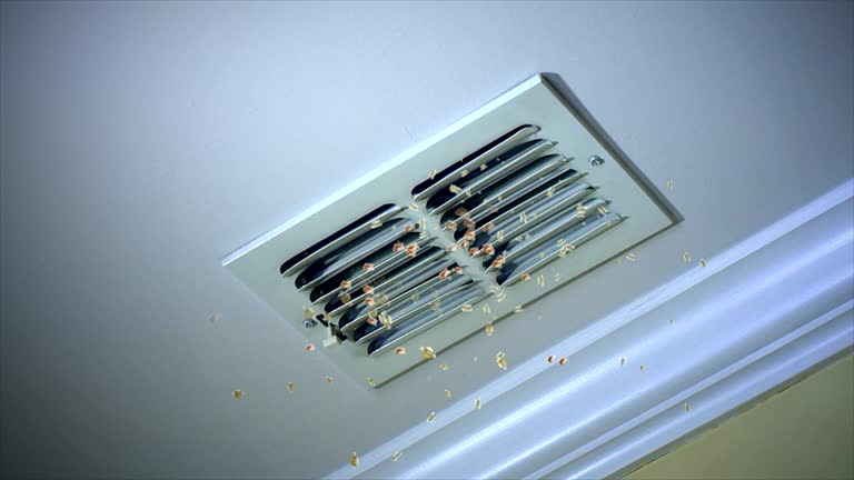 Reliable ID Airduct Cleaning Solutions